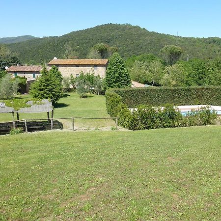 מונטסקודאיו Agriturismo Le Colline חדר תמונה