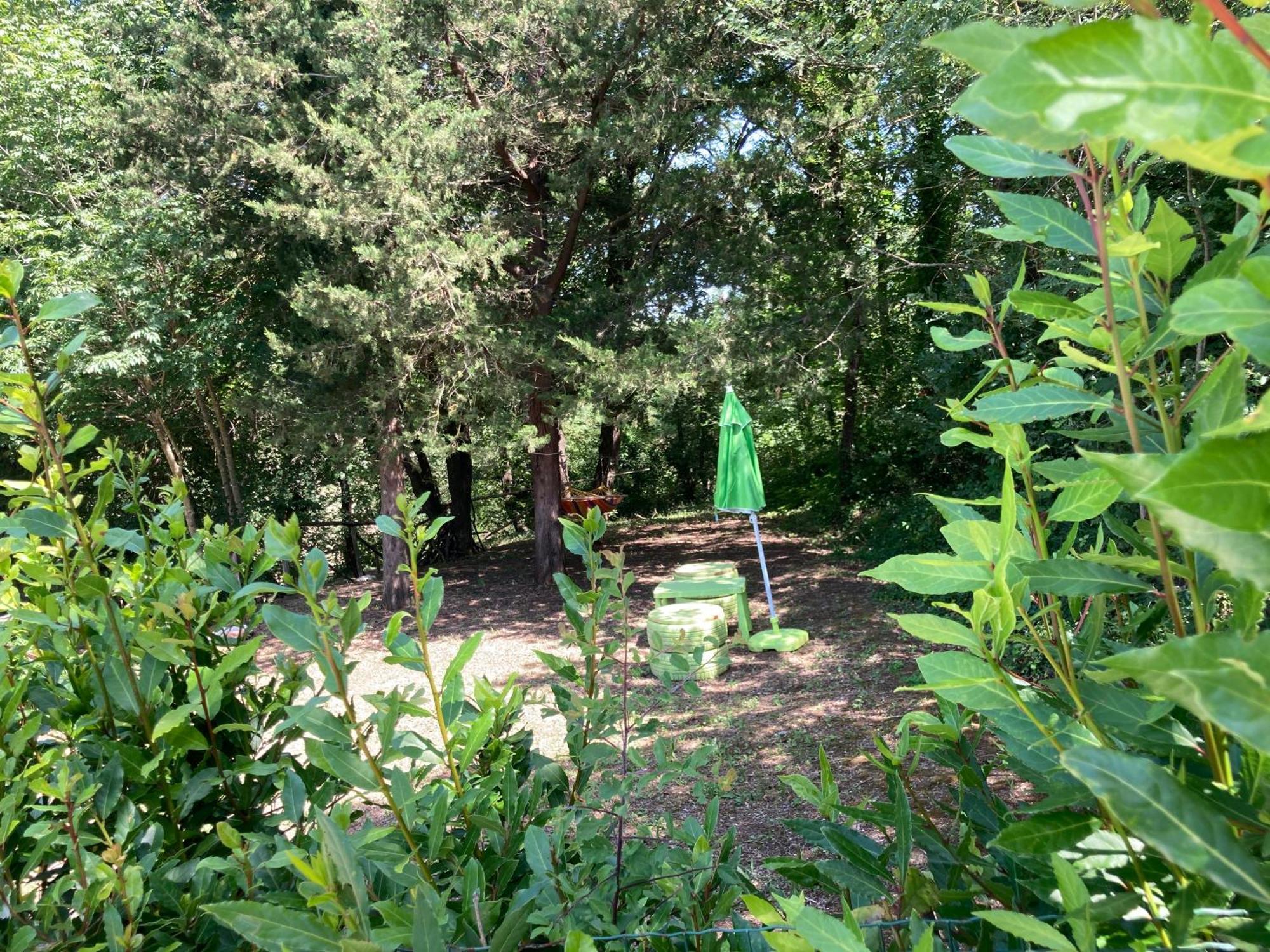 מונטסקודאיו Agriturismo Le Colline מראה חיצוני תמונה