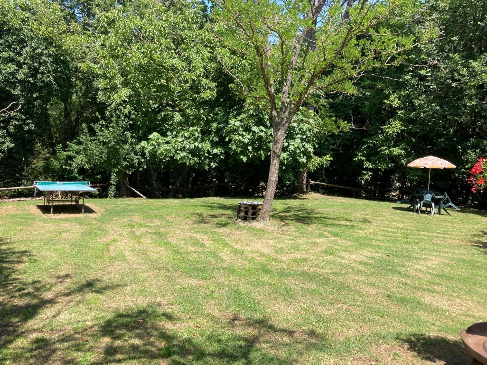 מונטסקודאיו Agriturismo Le Colline מראה חיצוני תמונה
