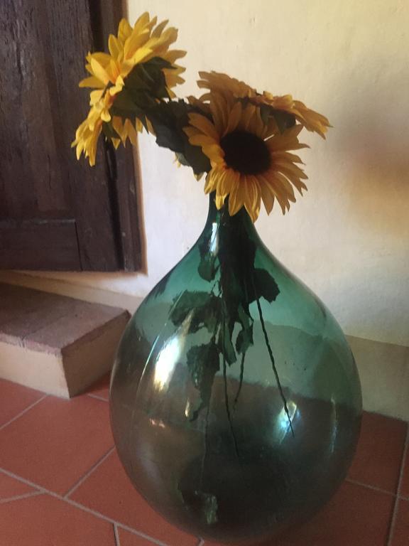 מונטסקודאיו Agriturismo Le Colline מראה חיצוני תמונה