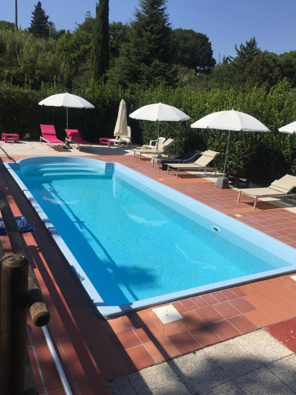 מונטסקודאיו Agriturismo Le Colline מראה חיצוני תמונה